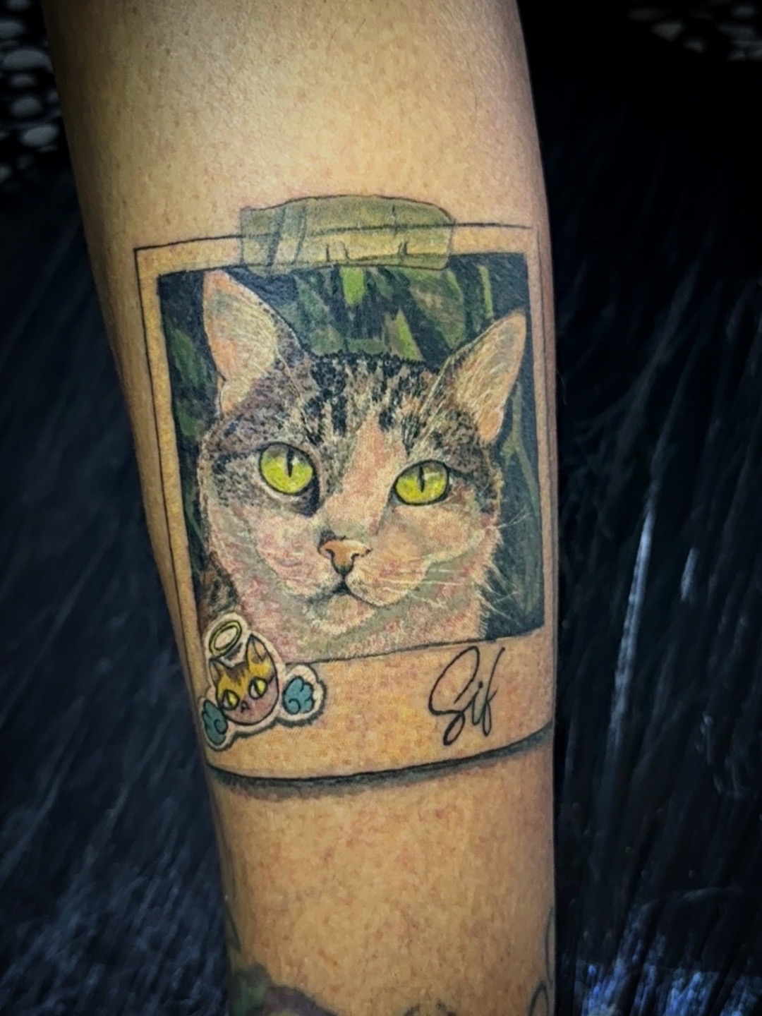 tatuagem pet realista homenagem