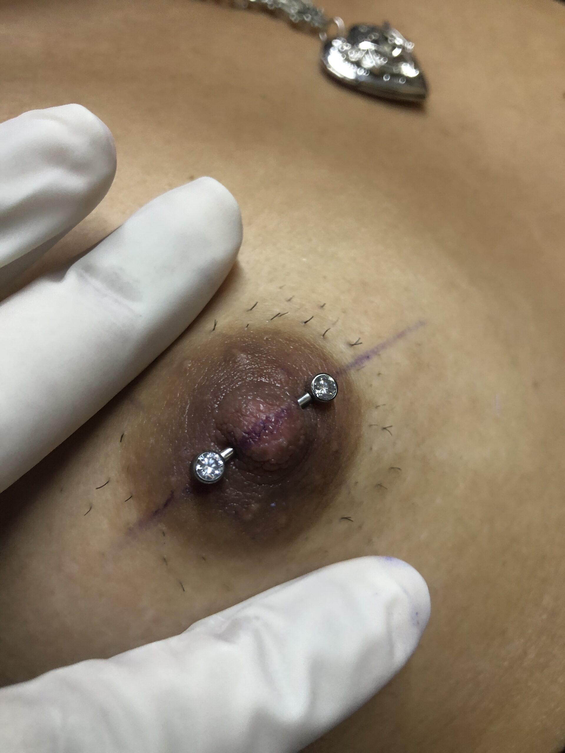 piercing mamilo - joia titânio com zircônias